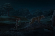    / Delhi Safari (2011)