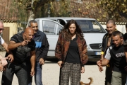    / De rouille et d'os (2012)