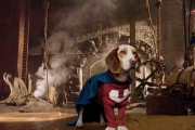  / Underdog (2007)